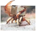 Shell Walker