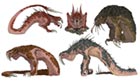 Tatzelwurm Concept