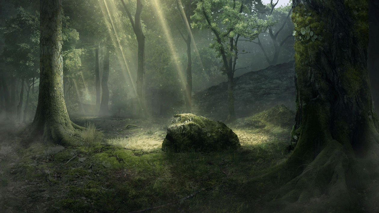 Forest Concept Art from Shadow of the Colossus (2018)