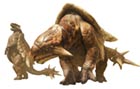Apceros
