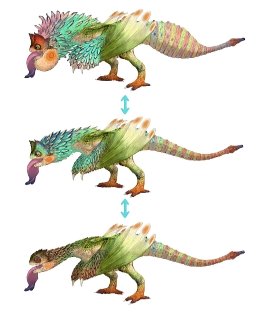 Pukei-Pukei Concept Artwork from Monster Hunter: World