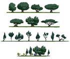 Azsuna Trees