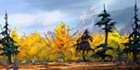 Stormheim Environment