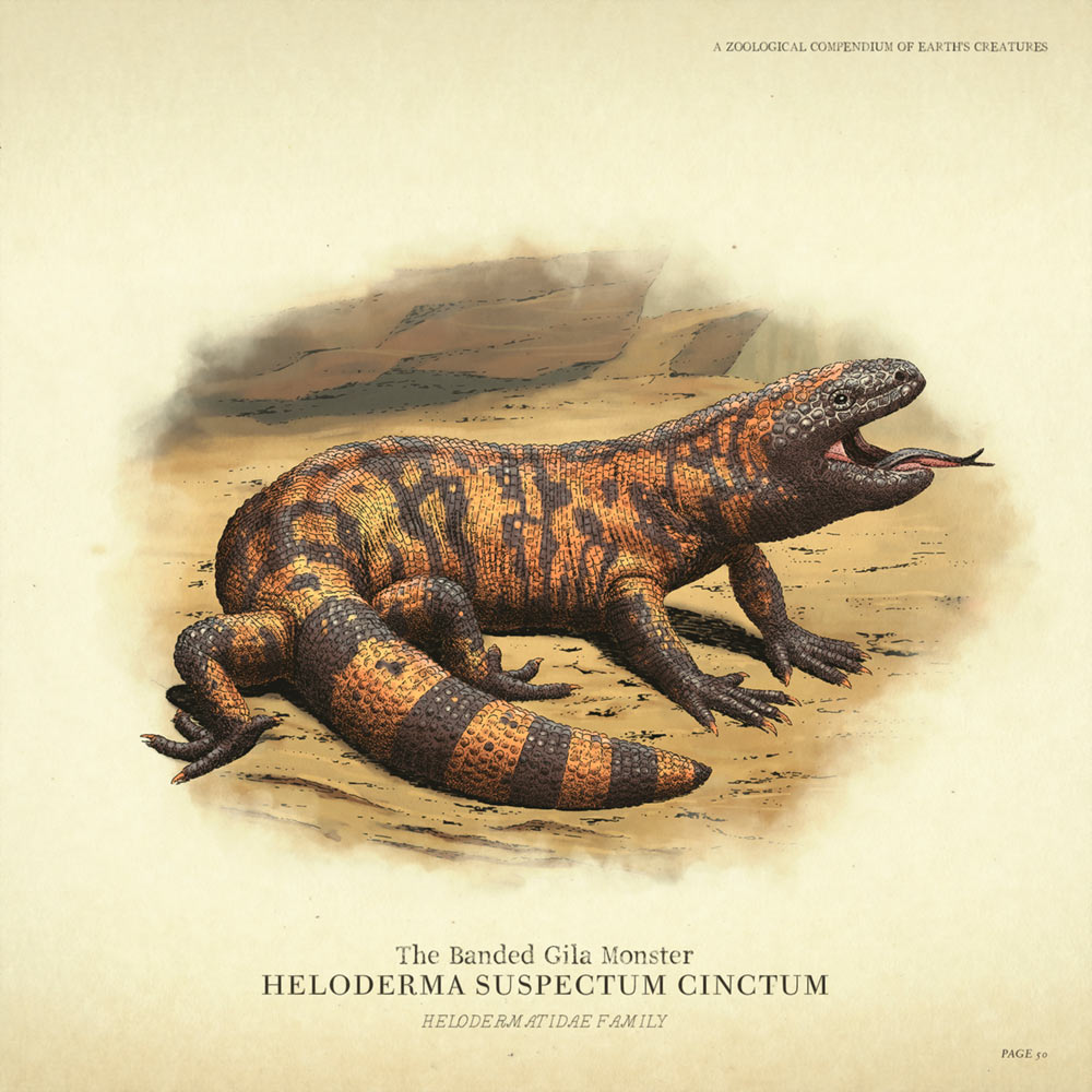 Banded Gila Monster Concept Art from Red Dead Redemption 2