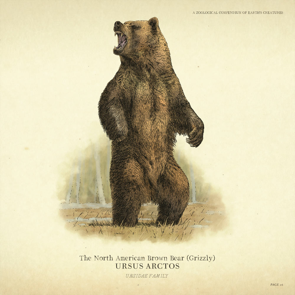 Grizzly Bear Concept Art from Red Dead Redemption 2