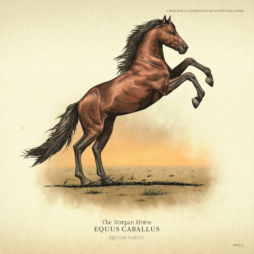 Morgan Horse Concept Art from Red Dead Redemption 2