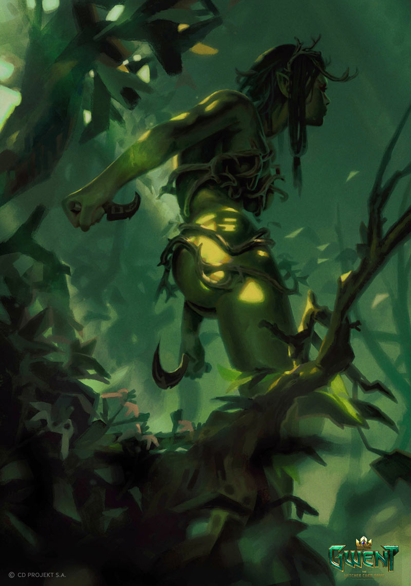 Brokilon Sentinel Art from Gwent: The Witcher Card Game