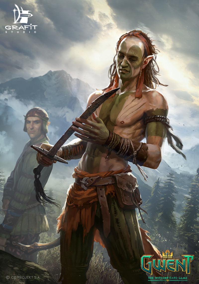 Scioa'tael Neophyte Art from Gwent: The Witcher Card Game