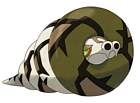 Sandaconda