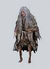 Old Hag