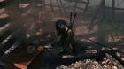 Young Wolf on Battlefield