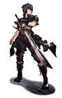 Noctis Lucis Caelum