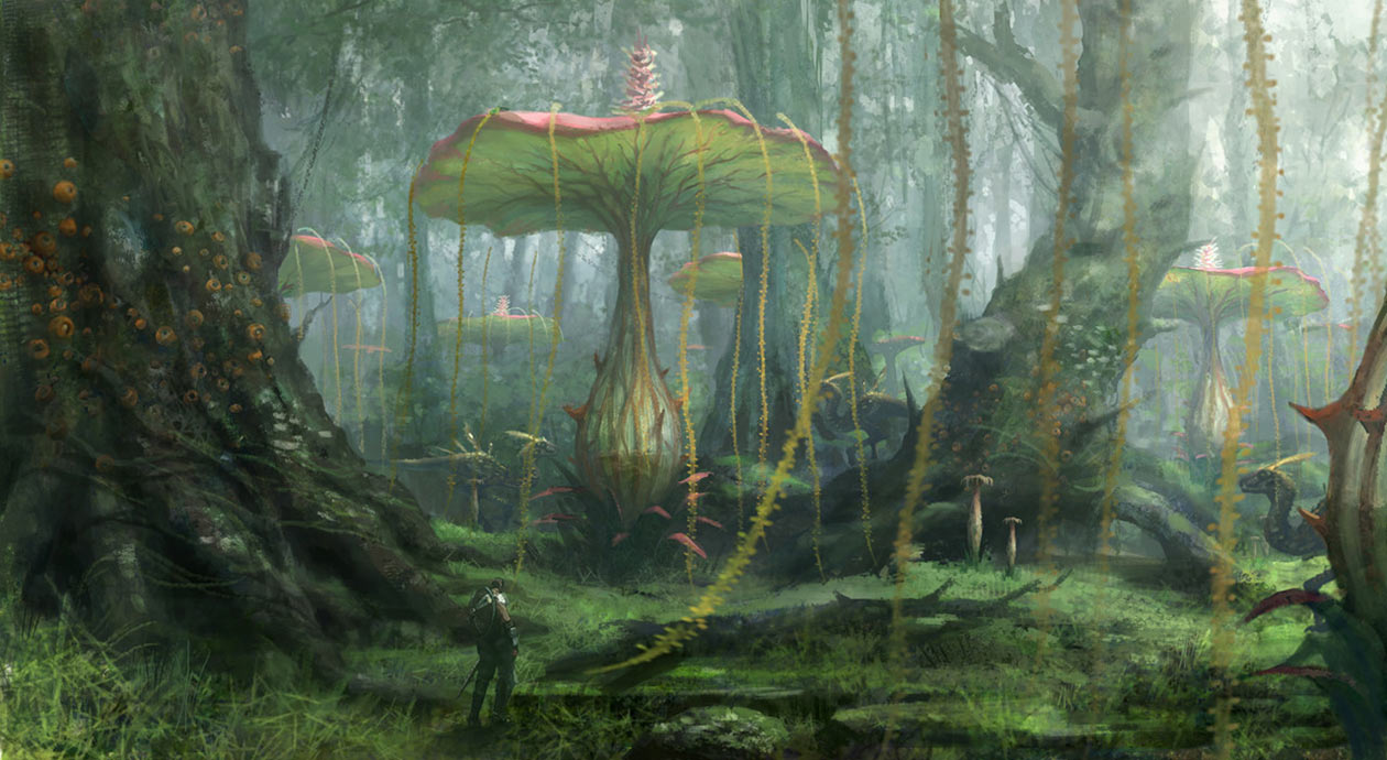 Bugara Forest Art from Bless Online