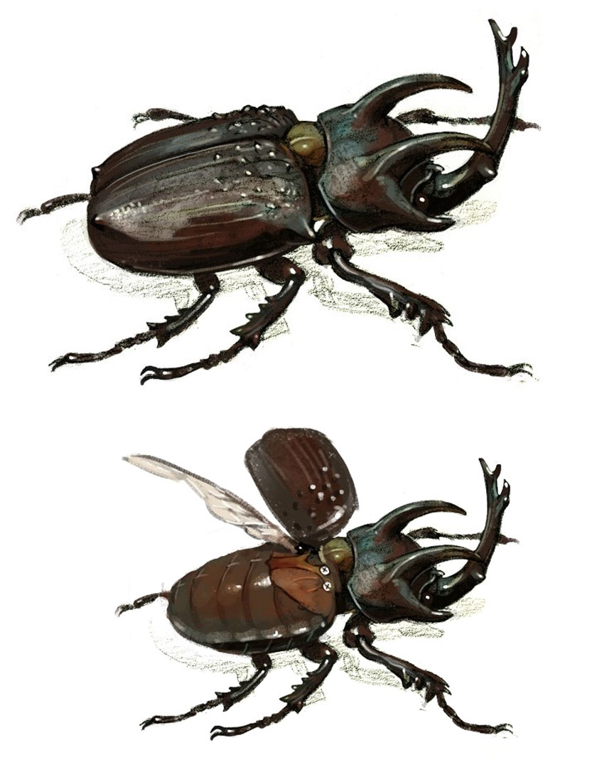 Giant Beetle Art from Bless Online
