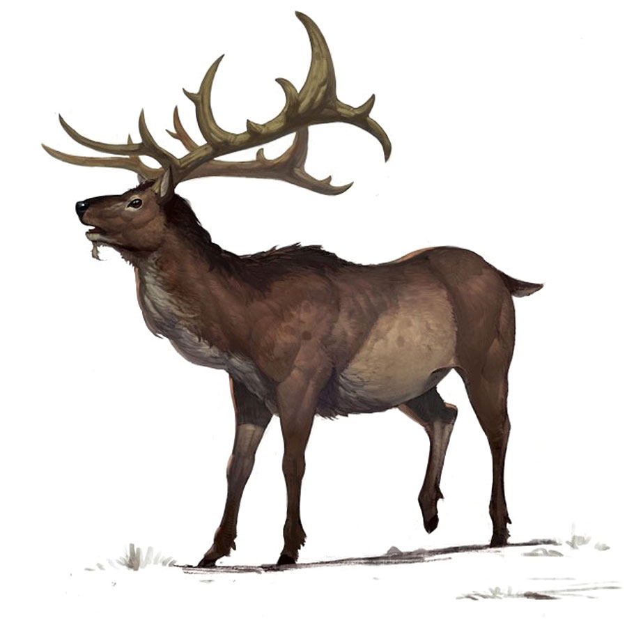 Giant Deer Art from Bless Online