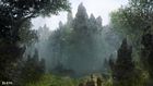 Singing Forest