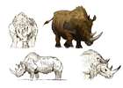 Woolly Rhinoceros