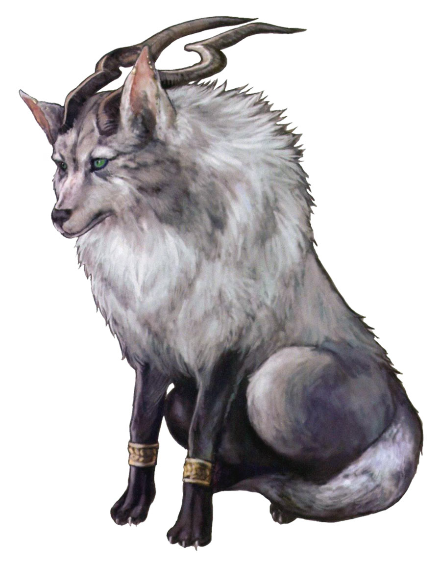 Ranunculus Art from Eternal Poison