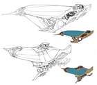 Ferros Skycruiser Concept Artwork