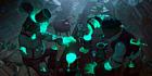 Stirred Spirits