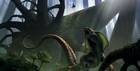 Kashyyyk Creature