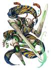 Guardian Saeba RNA