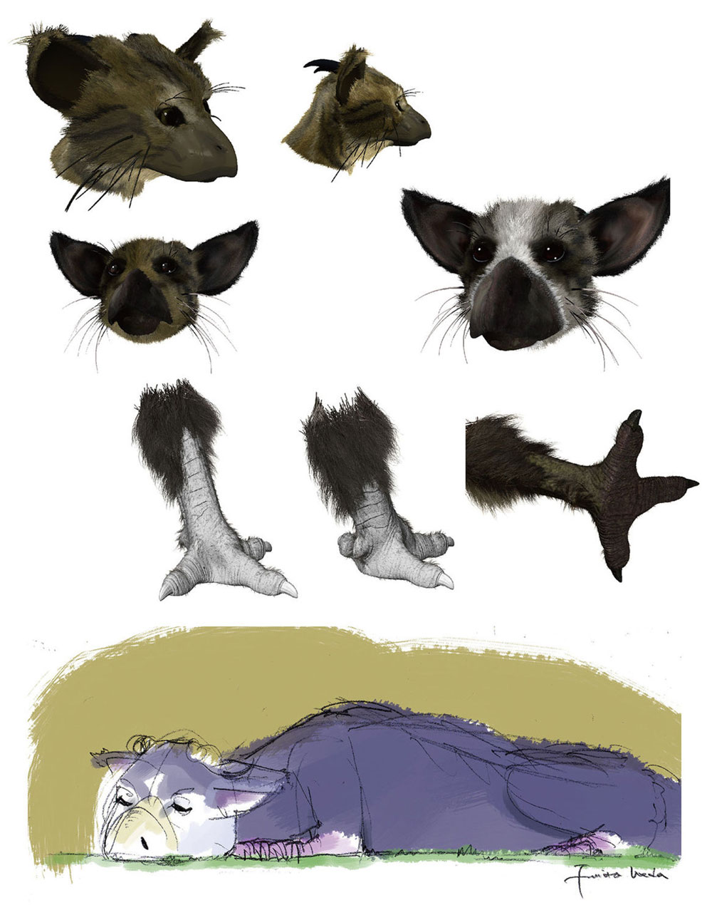 Trico Head Concept Art from The Last Guardian