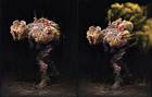 Infected Acid Concept Art