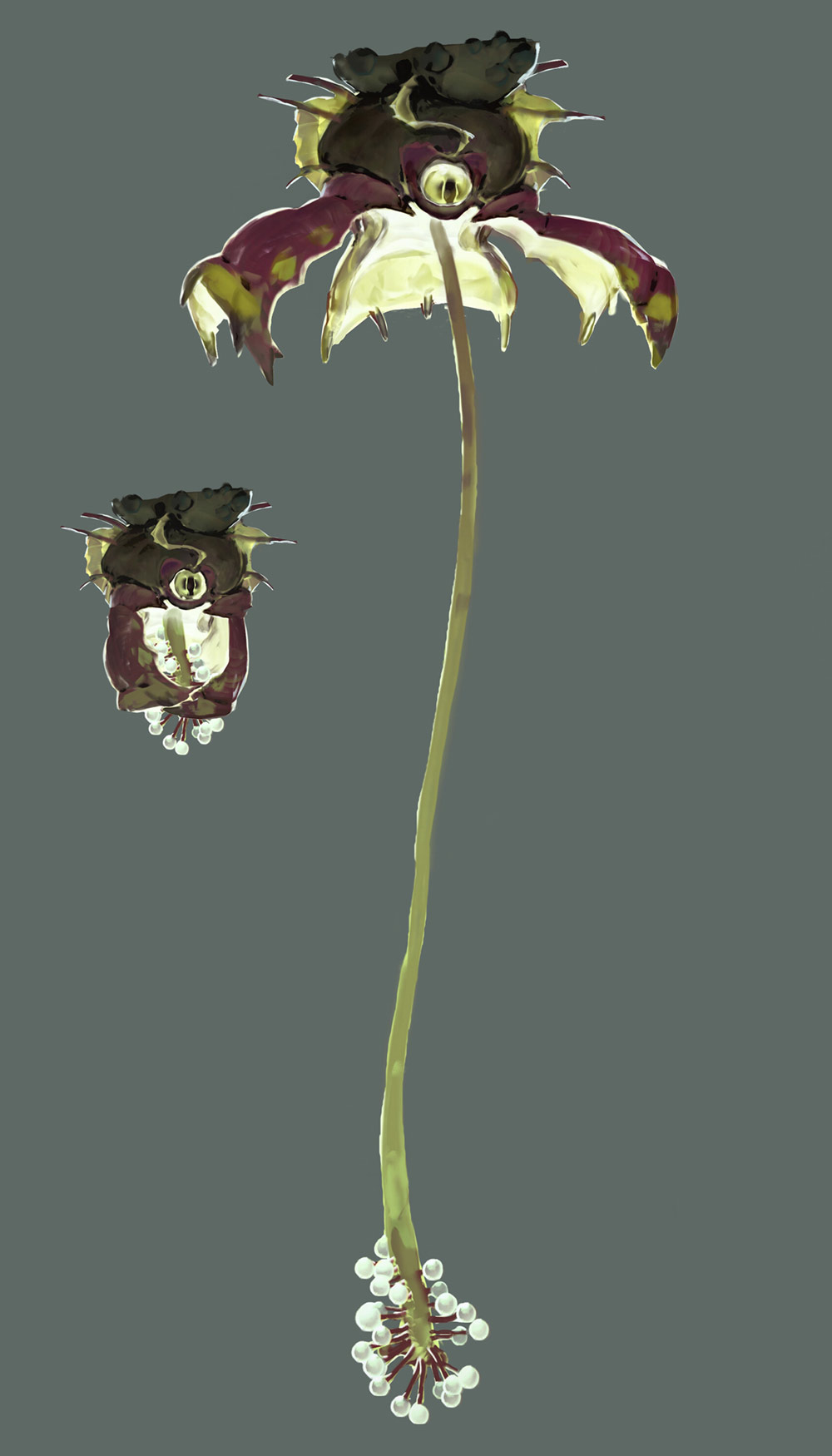 Sundew Art from Ori and the Will of the Wisps