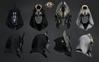 Polaris Helmet and Hood