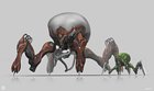 Hunger and Micros Arachnoids