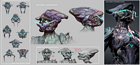 Ivara Arcuata Skin