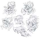 Pirate Theme Sea Creature Sketches