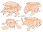 Sky Turtle Platforms