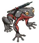 Sonon Toad Design