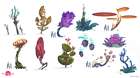 Plants