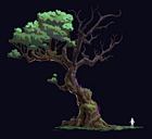 Aphrodite Tree
