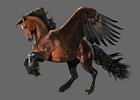 Brown Pegasus Horse