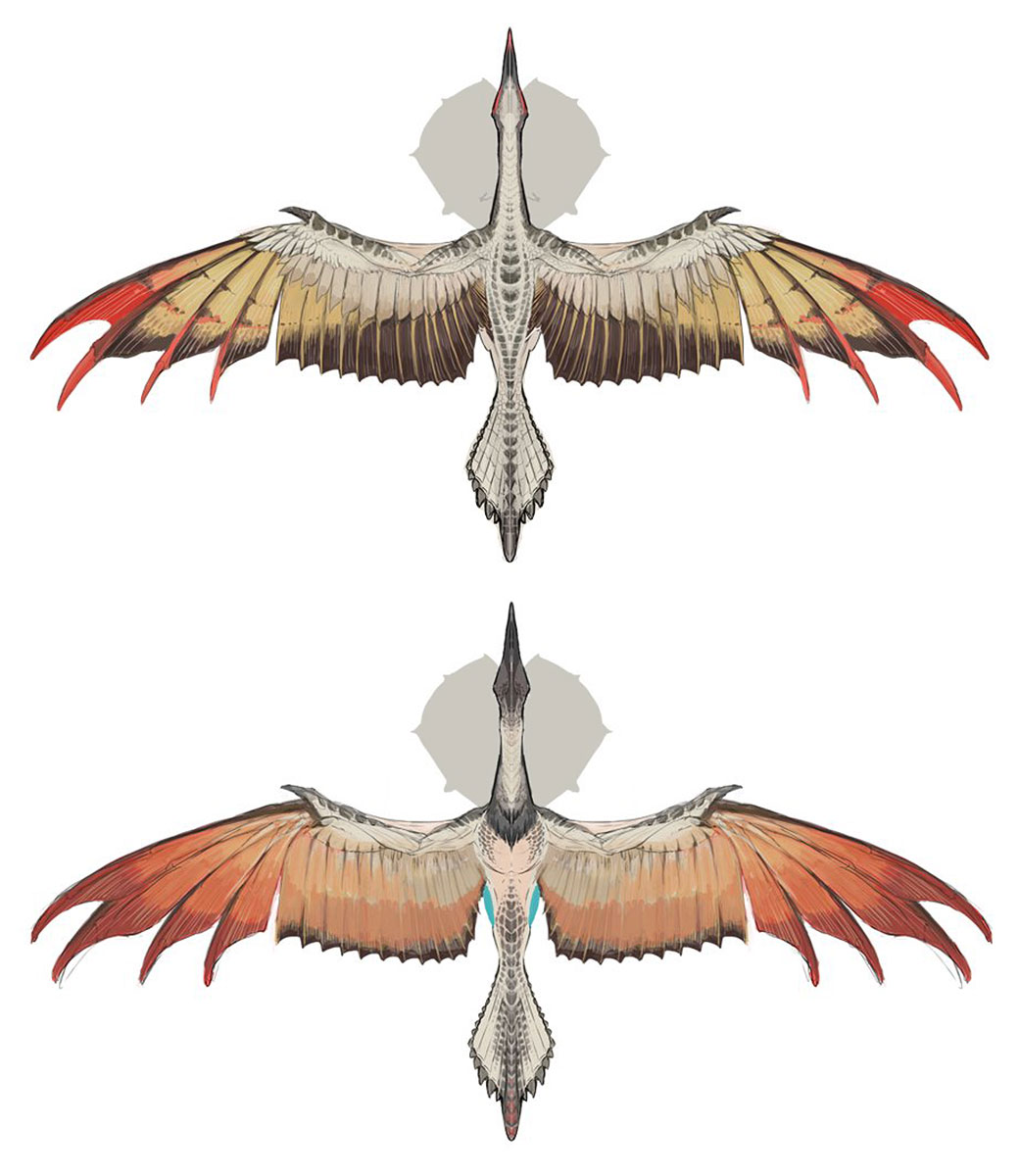 Aknosom Wings Concept Art from Monster Hunter Rise