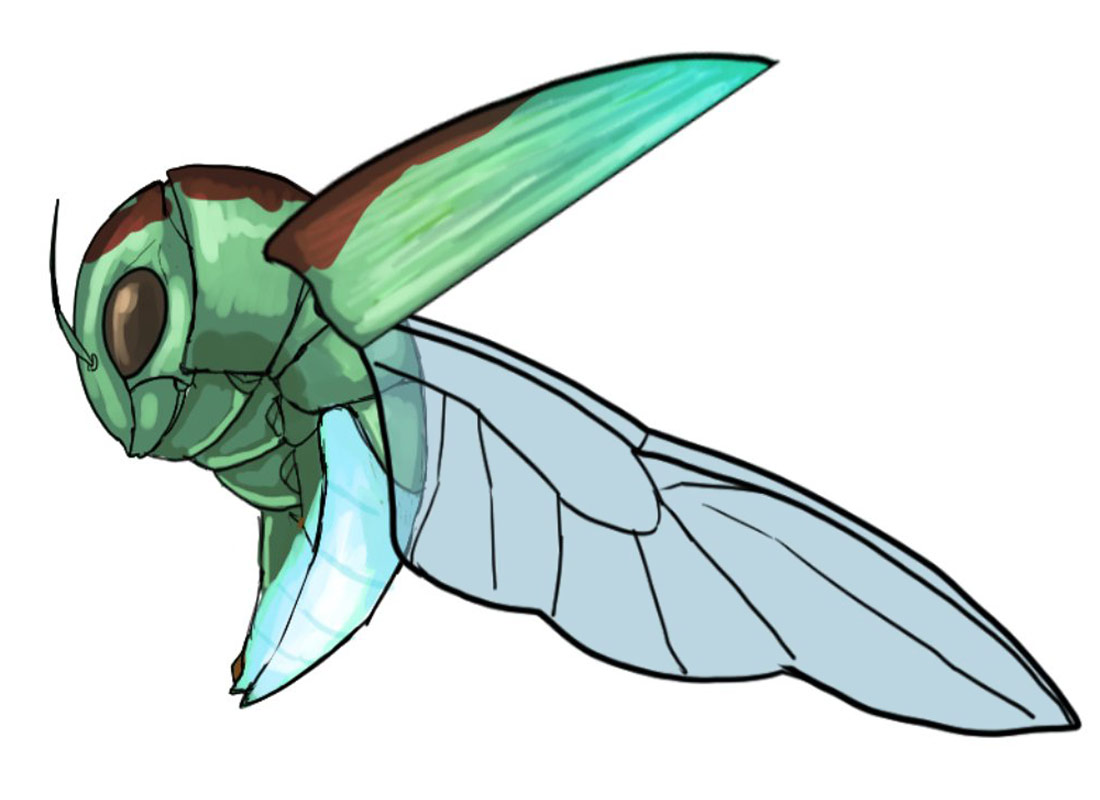 Wirebug Concept Art from Monster Hunter Rise