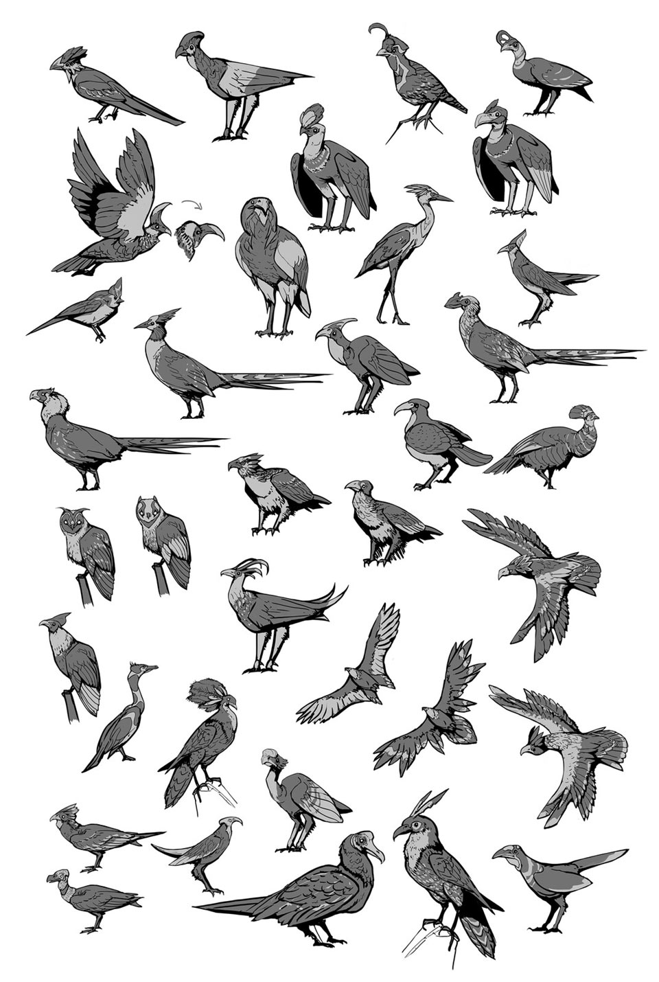 Bird Sketches from Halo Infinite