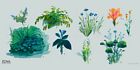 Flora