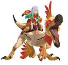 Kulu Rider