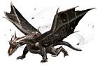 Kushala Daora