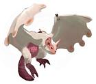 Paolumu