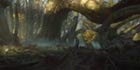 Ancient Forest Concept Art