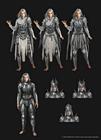 Nightsong Concepts