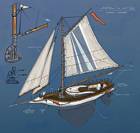 The Sloop