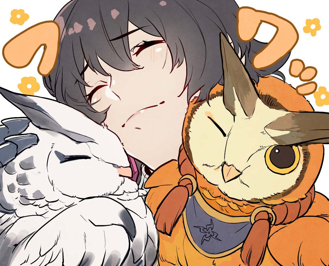 Fiorayne and Cohoots Art from Monster Hunter Rise: Sunbreak