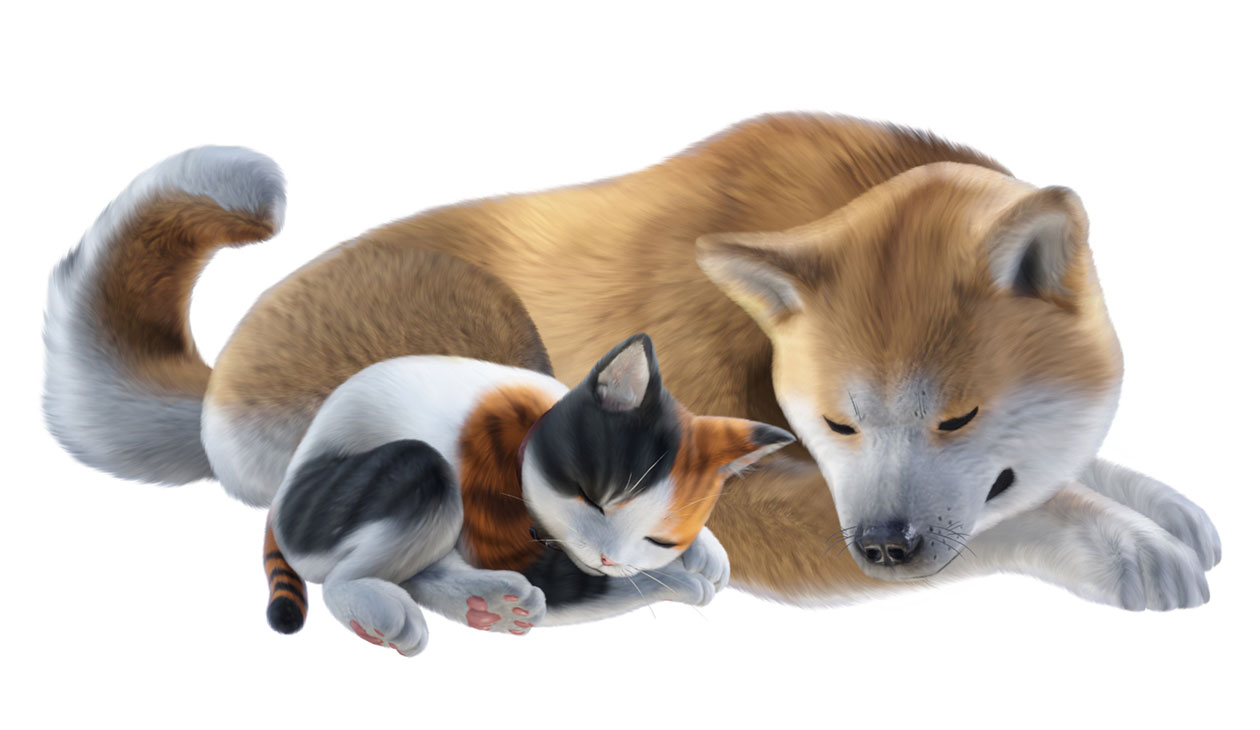 Loyal Dog and Striped Cat Pre-Order Bonus Art from Monster Hunter Rise: Sunbreak